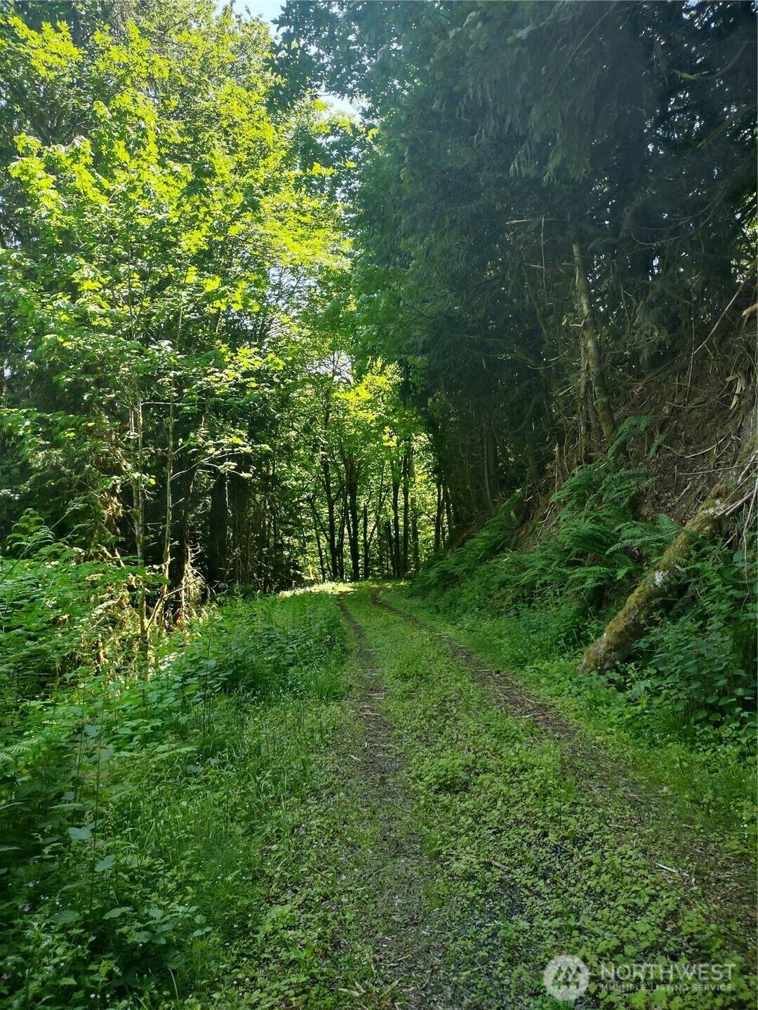 0 Glass Road - Photo 1