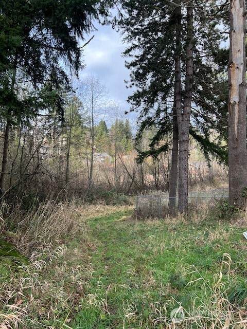 701 Iron Street Dr - Photo 1