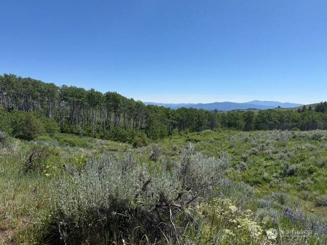 111 Tbd Ellemeham Ridge Road - Photo 1