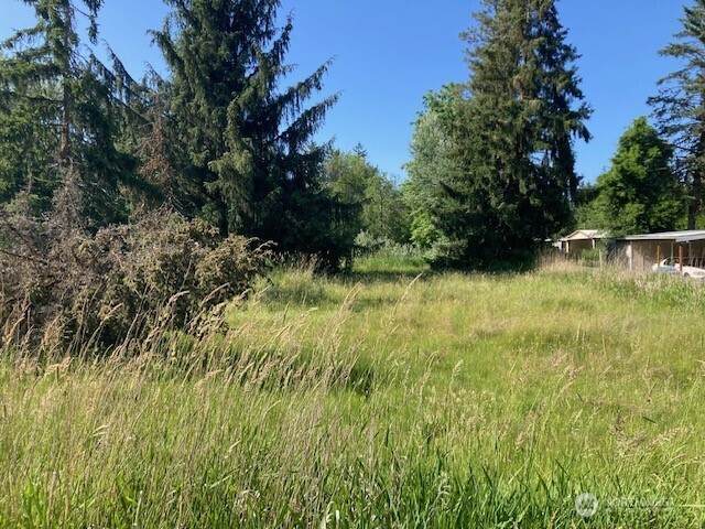 2912 Scotlac Drive - Photo 1