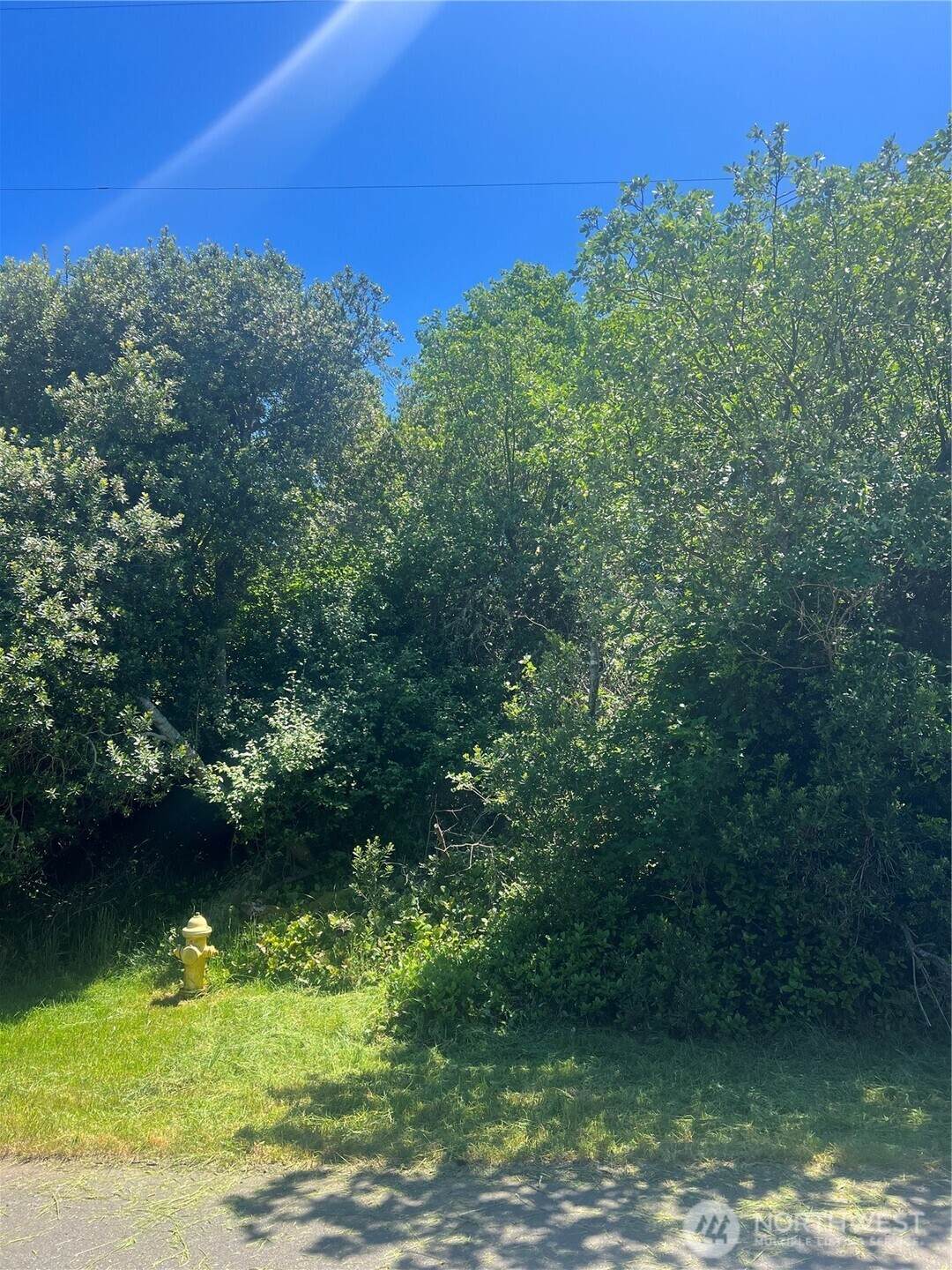 849 Hake Court - Photo 1