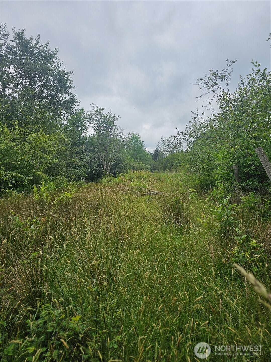 565 Oyler Road - Photo 1