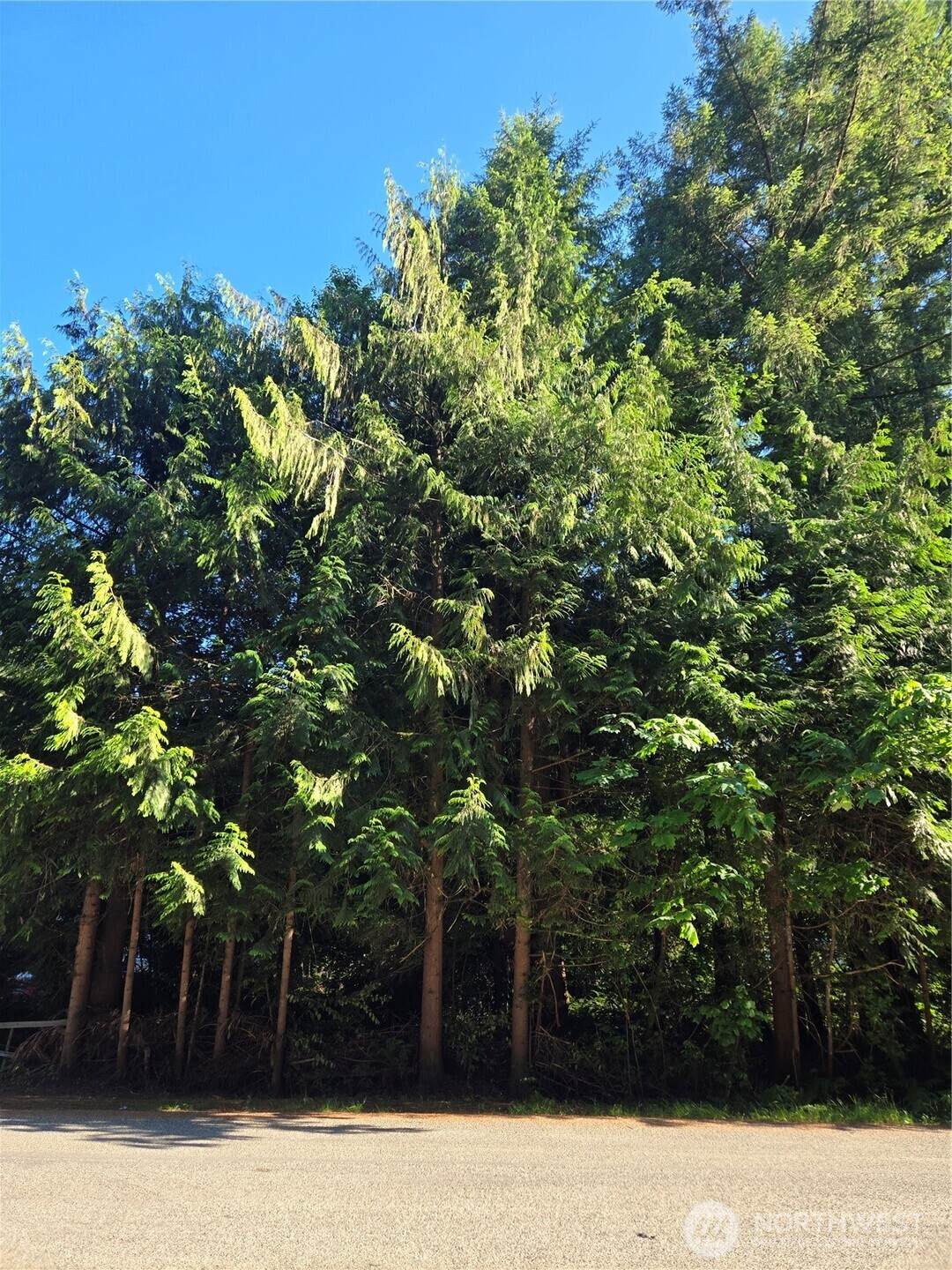 0 Baker Drive - Photo 1