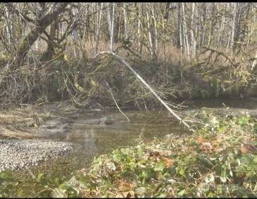 0 Sauk Road - Photo 1