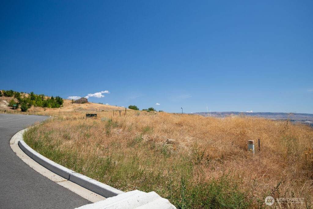 0 Lot 10 Ridgefield Way - Photo 1