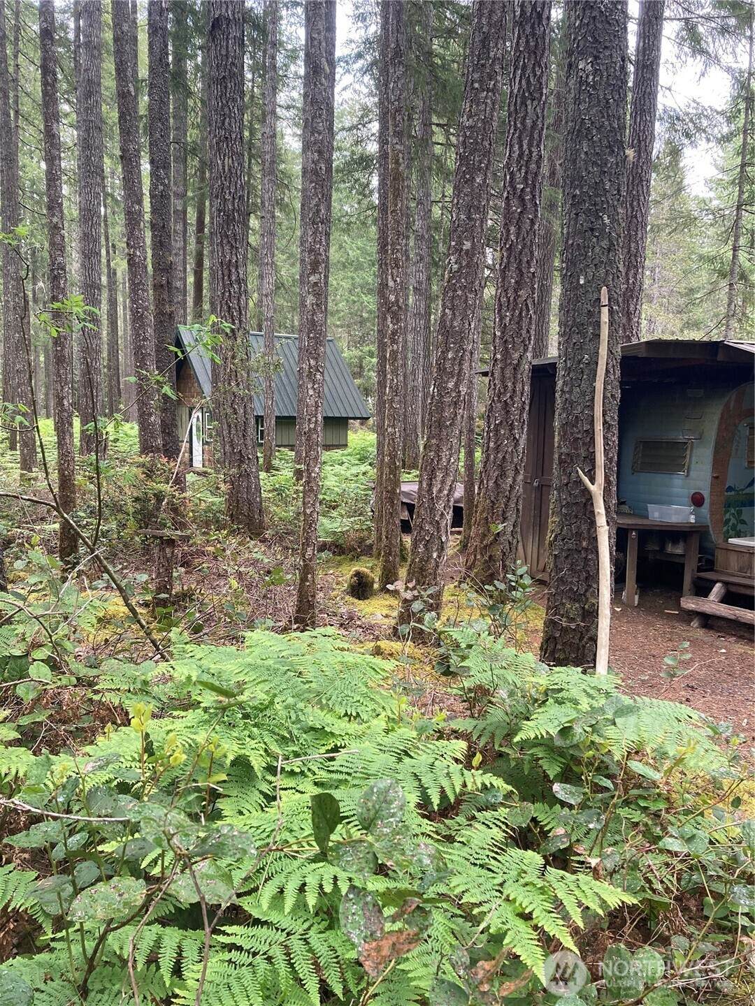 40 Snapper Drive - Photo 1