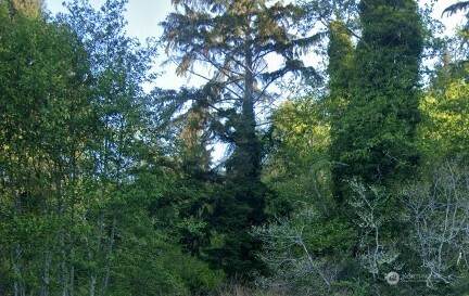 0 Cosgrove Street - Photo 1