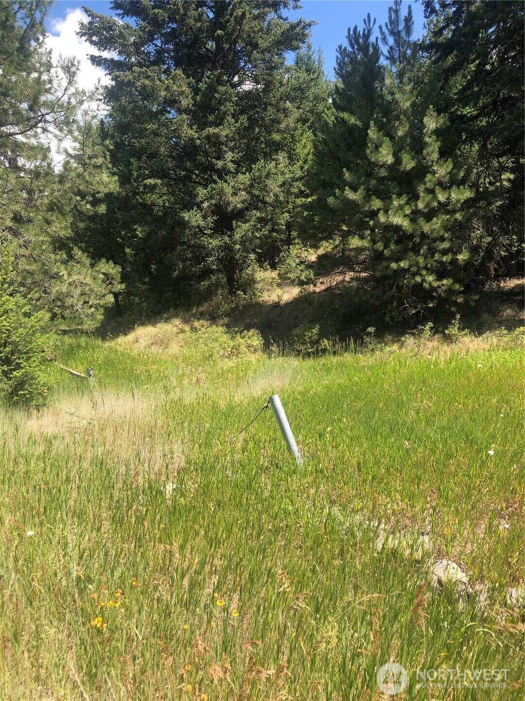 22 Pine Chee Road - Photo 1