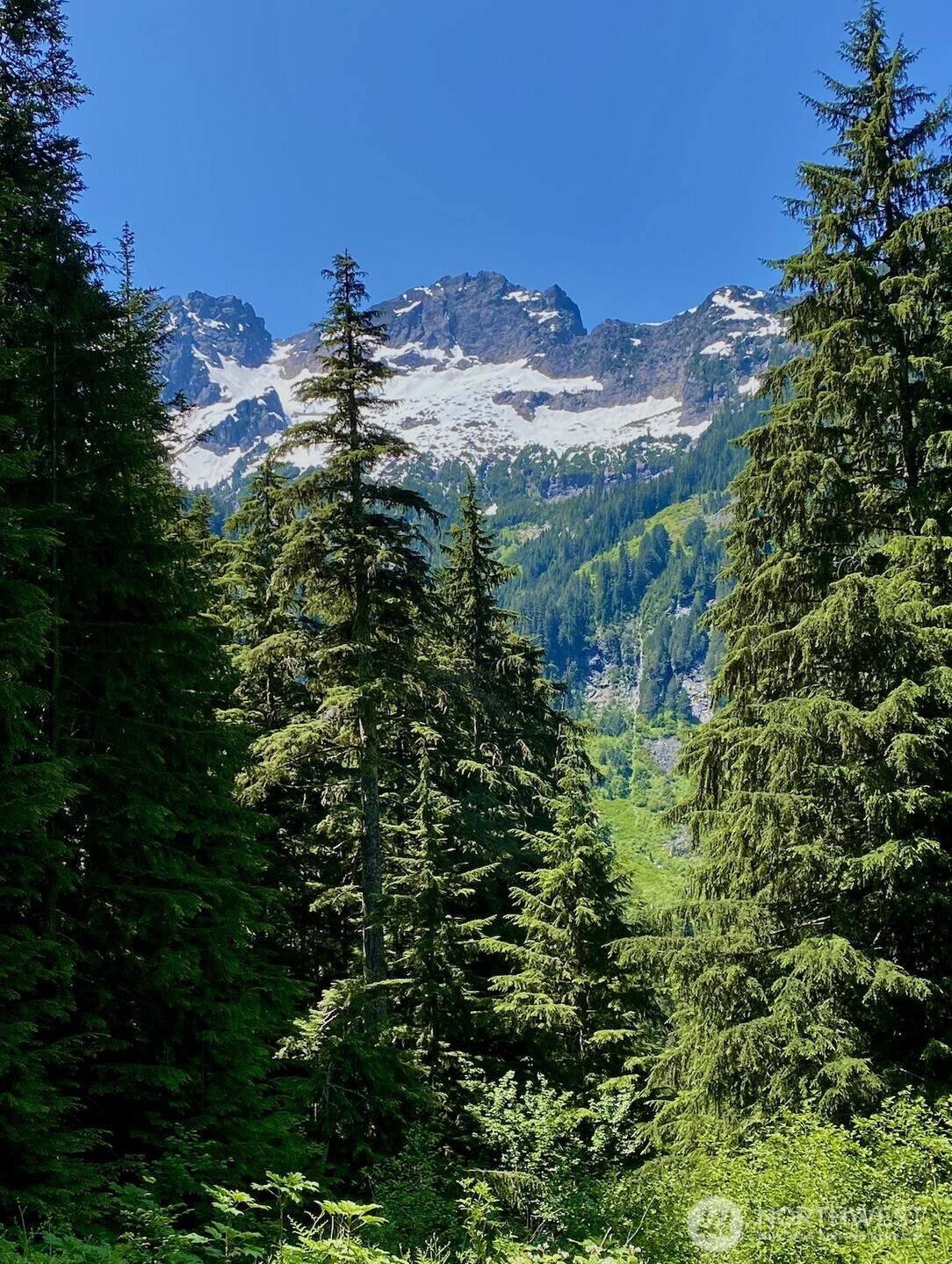 0 Mountain Loop Highway - Photo 1