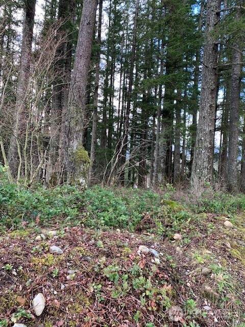 450 xx North Bend Way - Photo 1