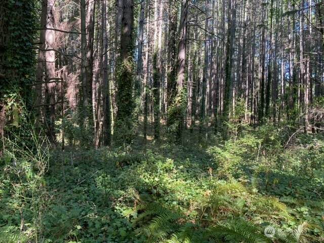 11000 Xx State Hwy 305 - Photo 1