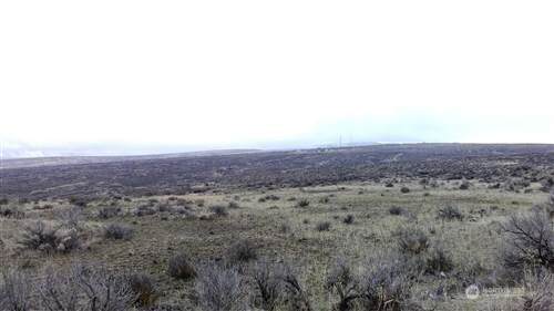 0 Burbank Creek Road - Photo 1