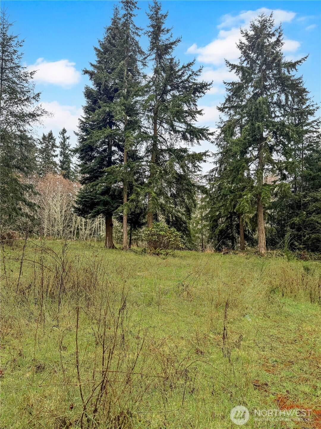 0 Prospect Avenue - Photo 1