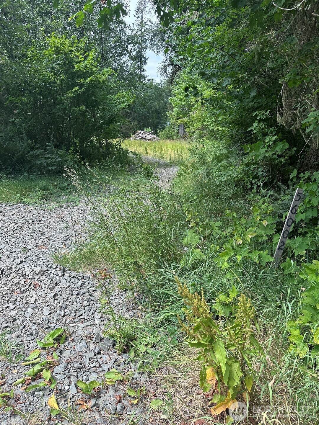 56002 317th Avenue - Photo 1