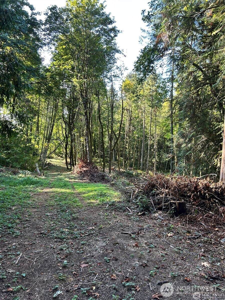 0 Dawn Road - Photo 1