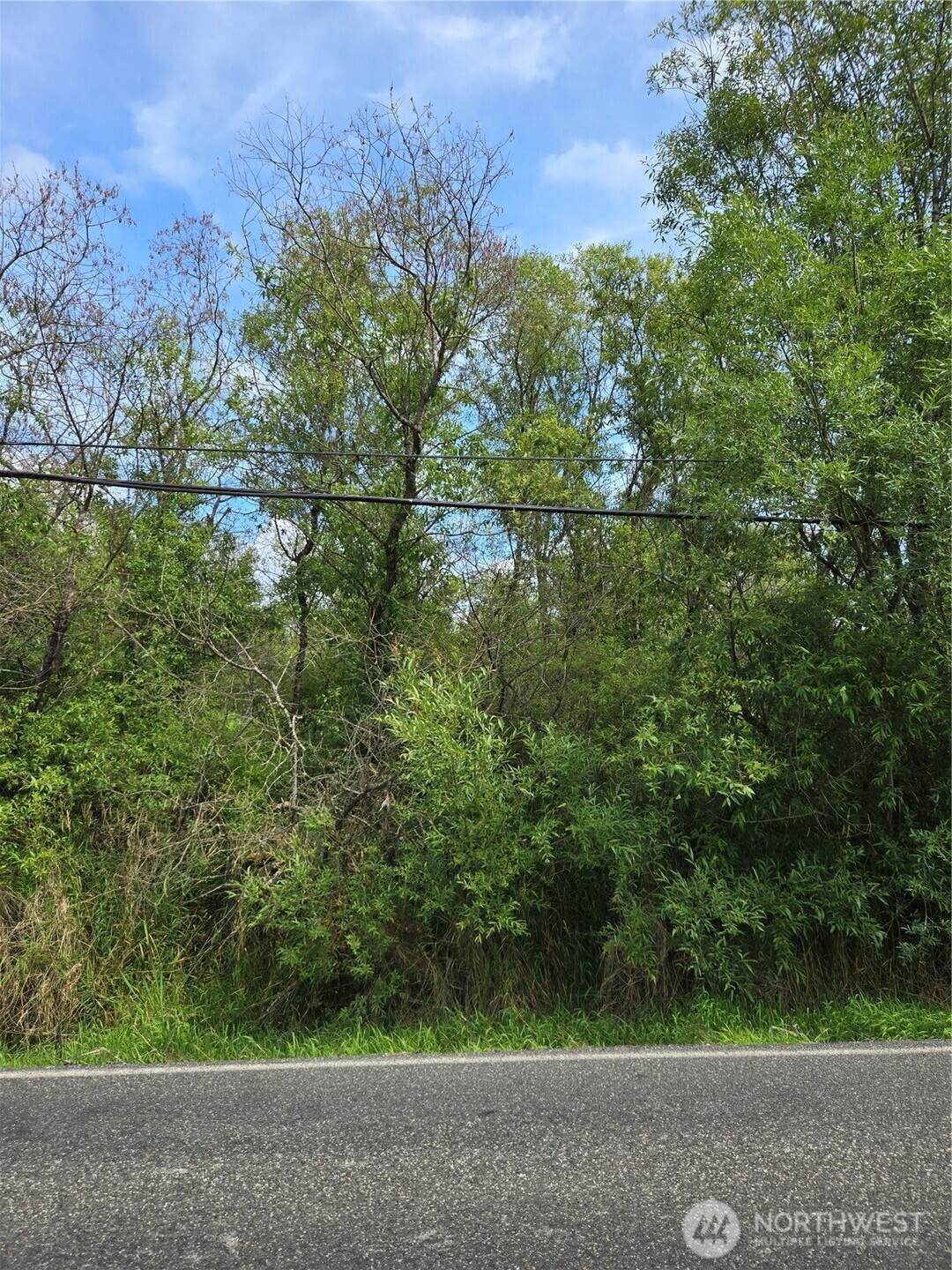 7933 Custer Road - Photo 1