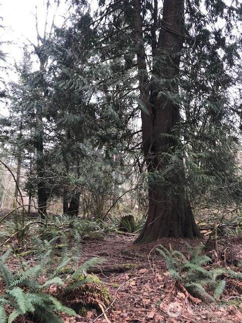 8026 Dawn Hill Drive - Photo 1