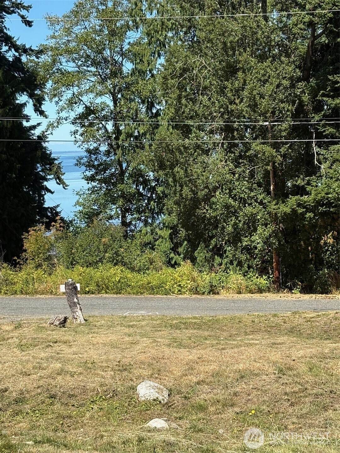 4904 Roney Road - Photo 1