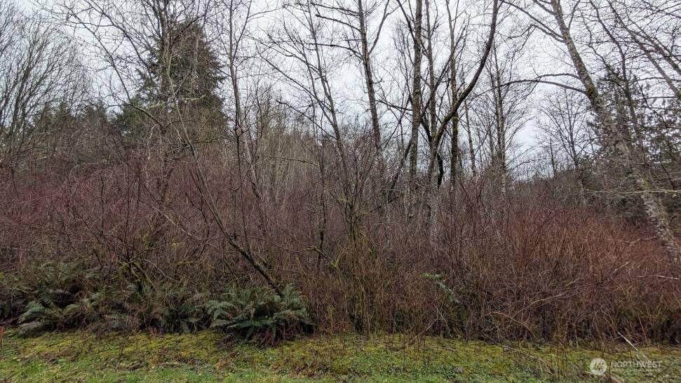 0 Lovgreen Road - Photo 1