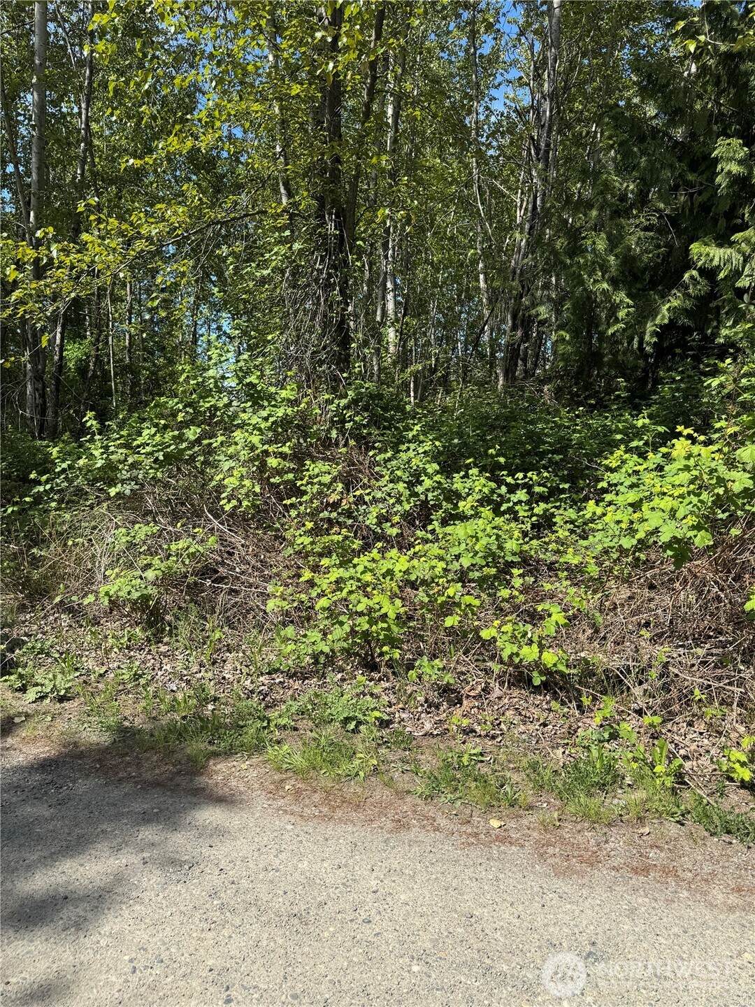 101 XX 221st Avenue - Photo 1