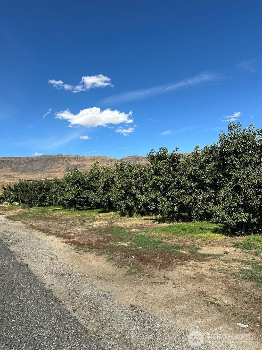 583 Webb Avenue - Photo 1