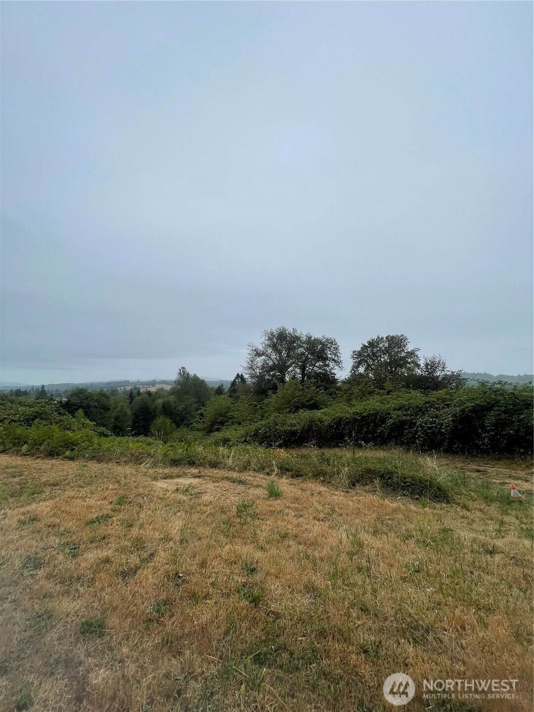 47 Alexander Road - Photo 1