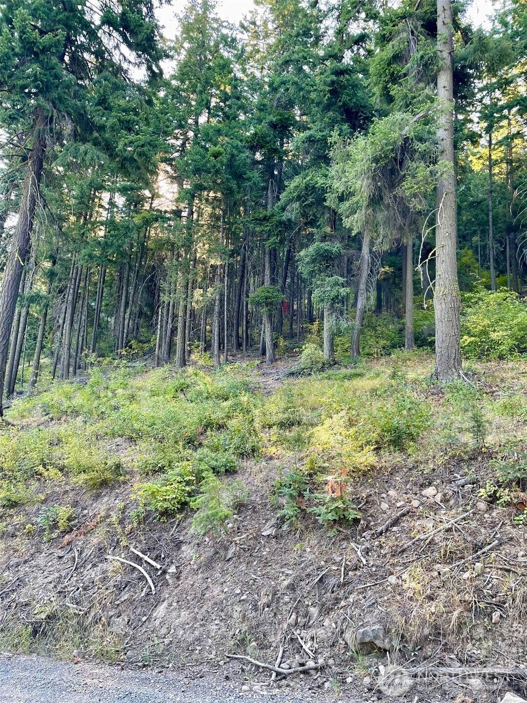 1290 Rodeo Road - Photo 1