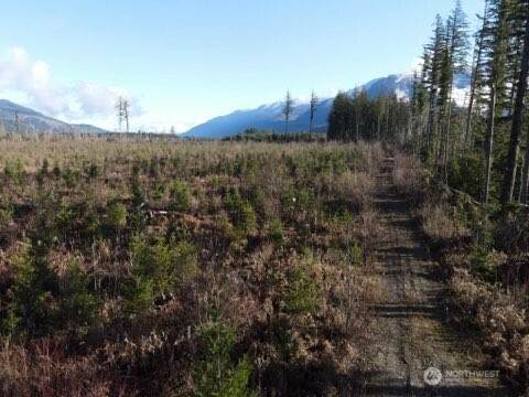 9523 Heady Road - Photo 1