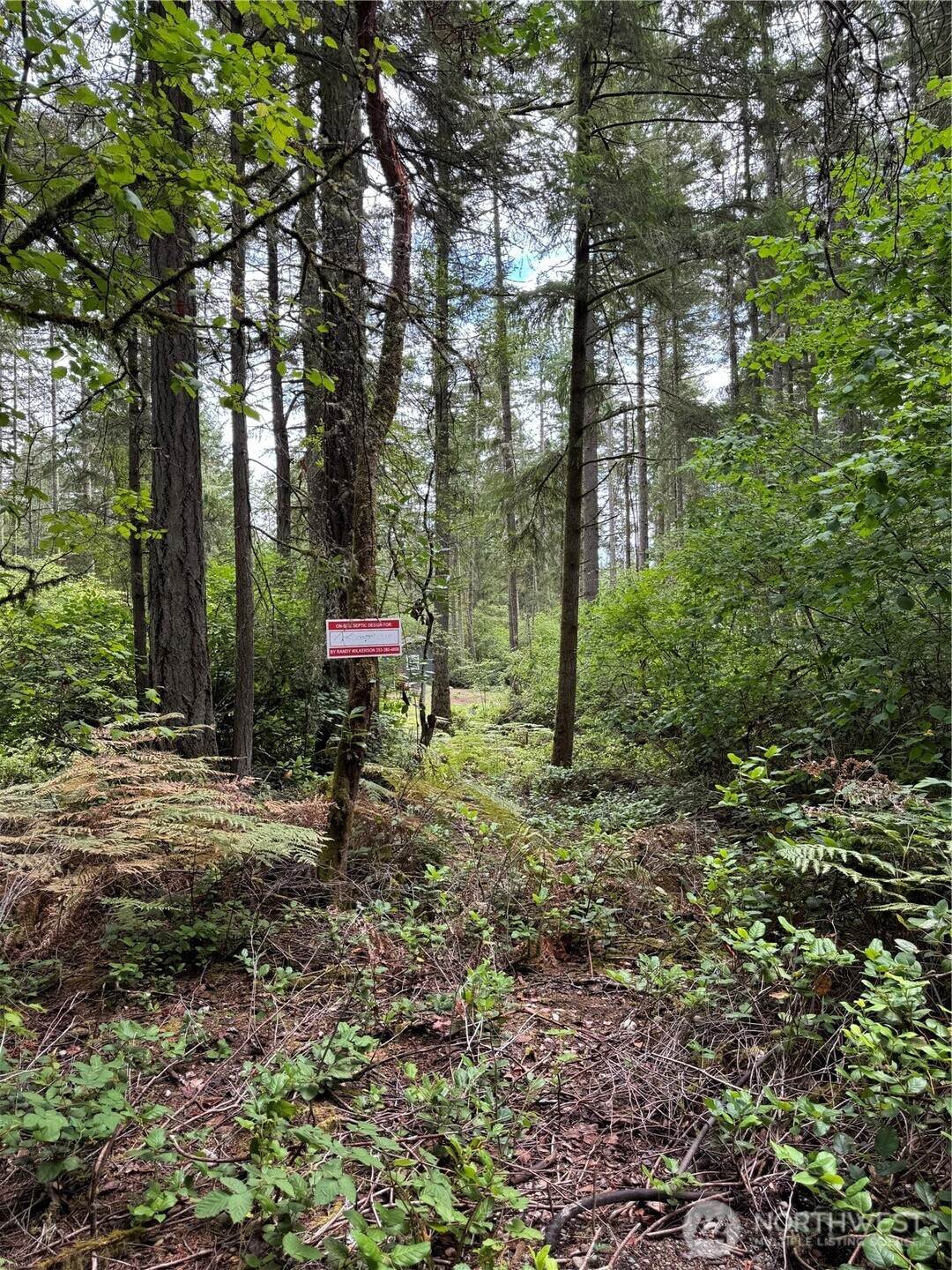 11913 Country Club Drive - Photo 1