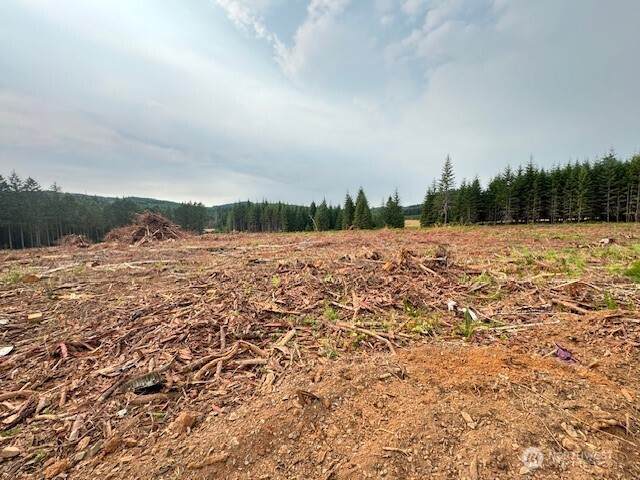 120 Woodberry Lane - Photo 1