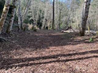 61 Woods Place - Photo 1