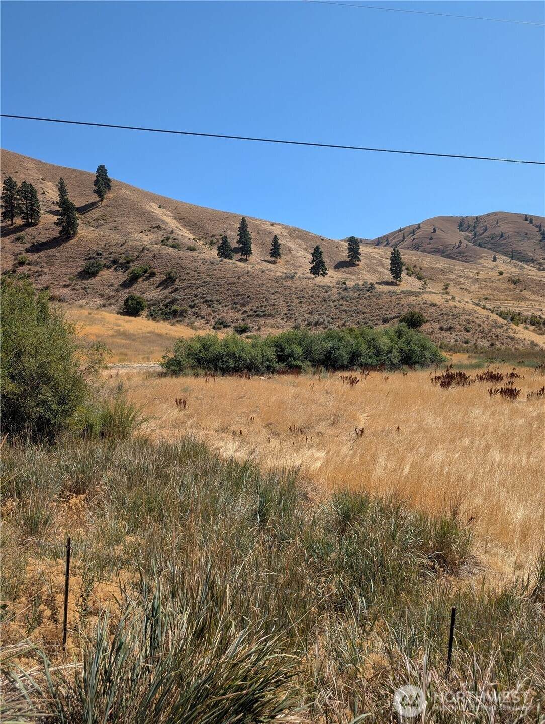 8 Nahahum Canyon Road - Photo 1