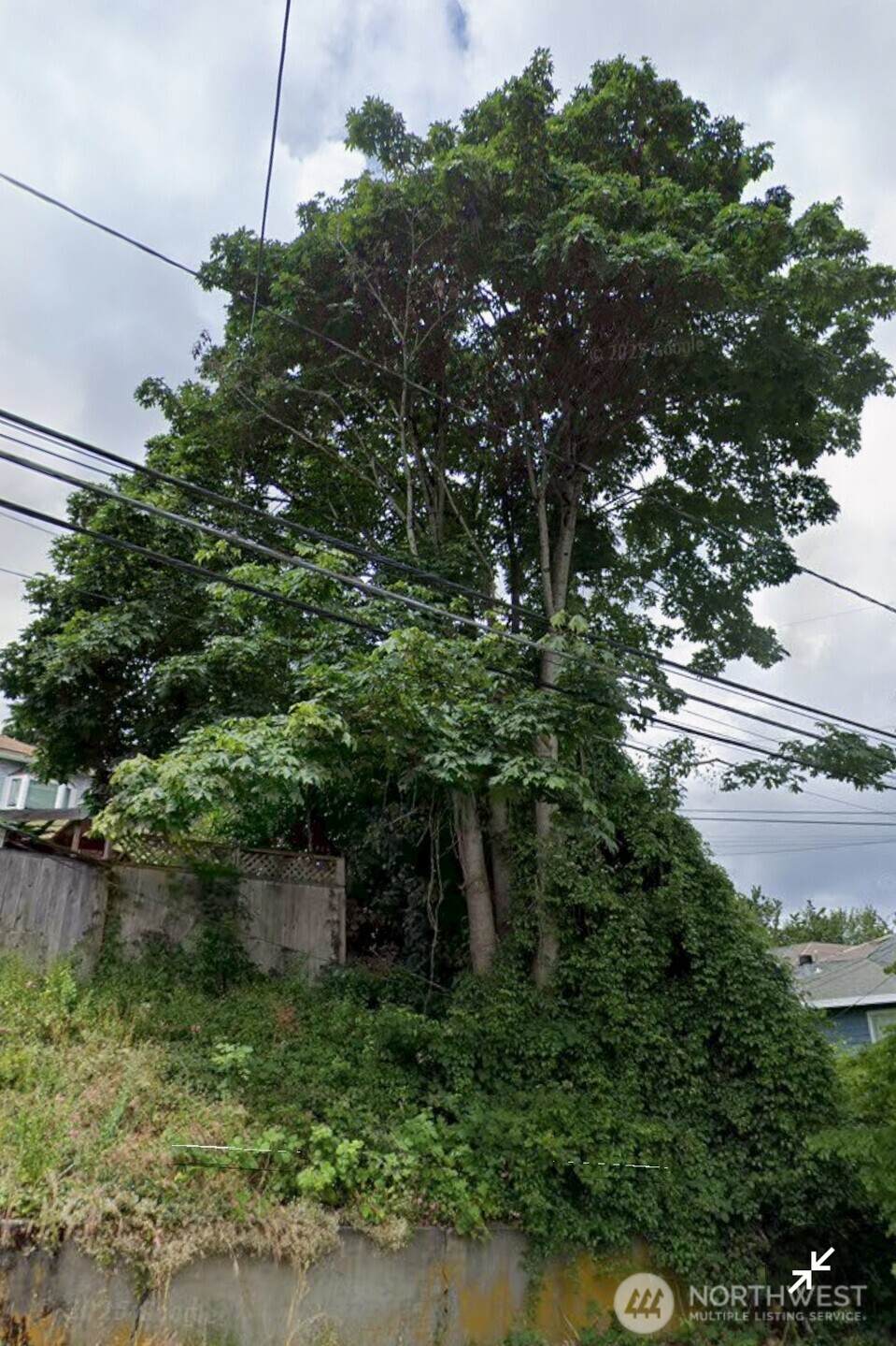 809 26th Avenue - Photo 1