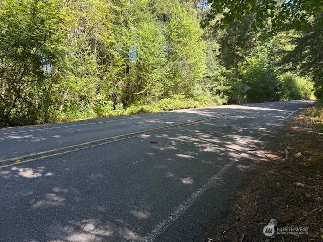 20325 Bucoda Highway - Photo 1