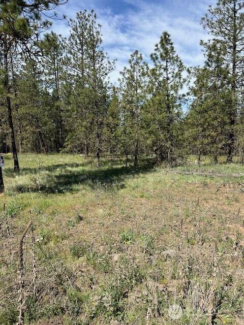 0 Rocky Ridge Road - Photo 1