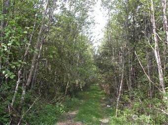 310 Oyler Road - Photo 1