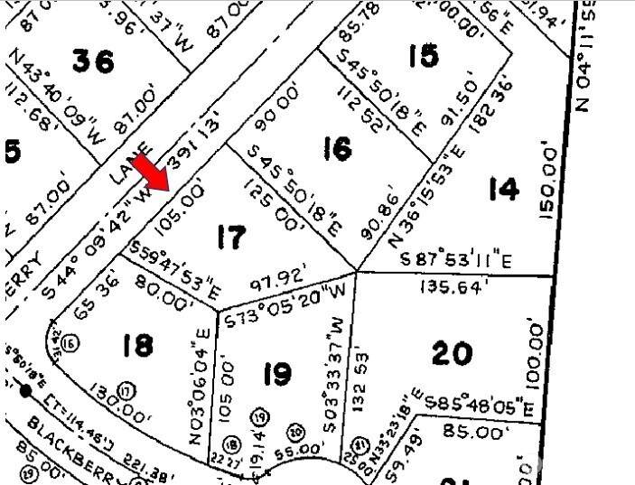 161 Blackberry Lane - Photo 1