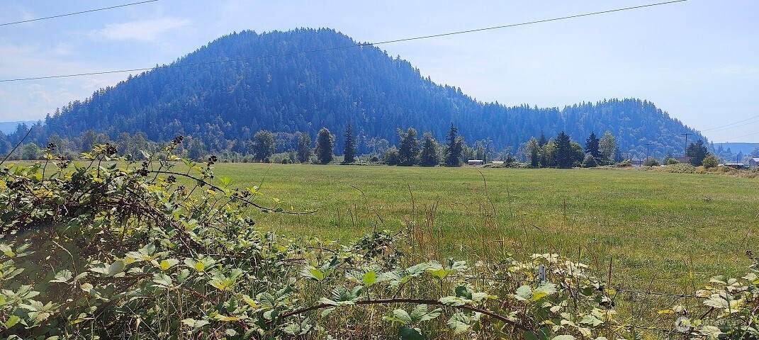 46502 268th Avenue - Photo 1
