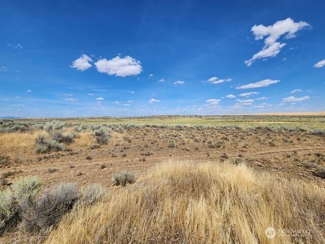 0 Earl Road - Photo 1