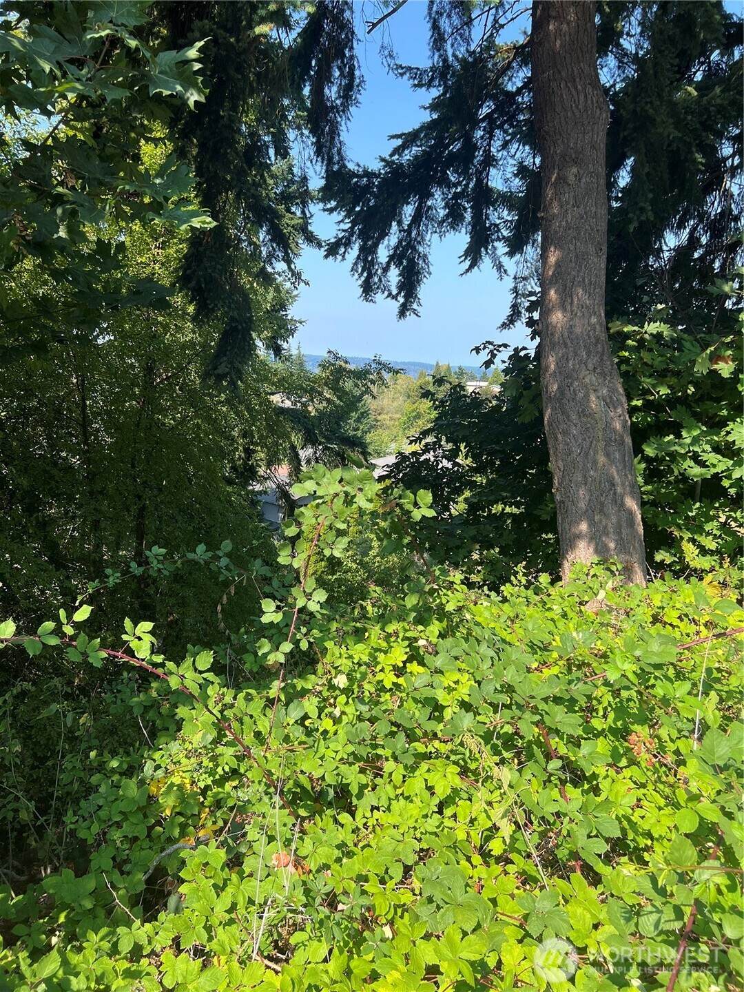 106 Xx Macarthur Lane - Photo 1