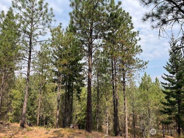 131 Gold Leaf Lane - Photo 1