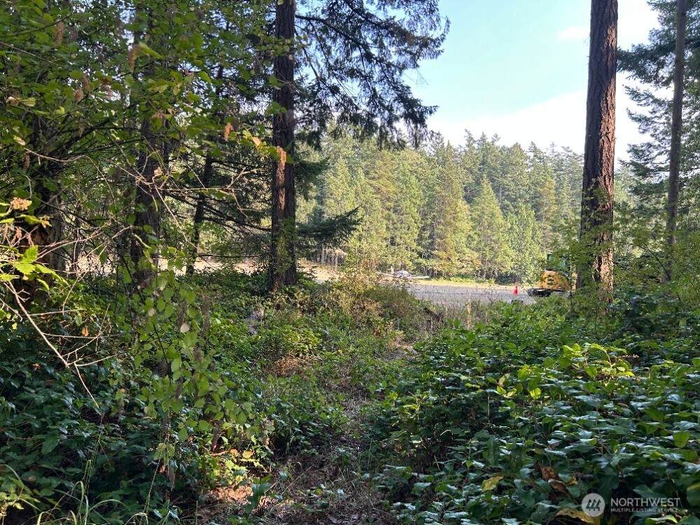 135 Chinook Way - Photo 1