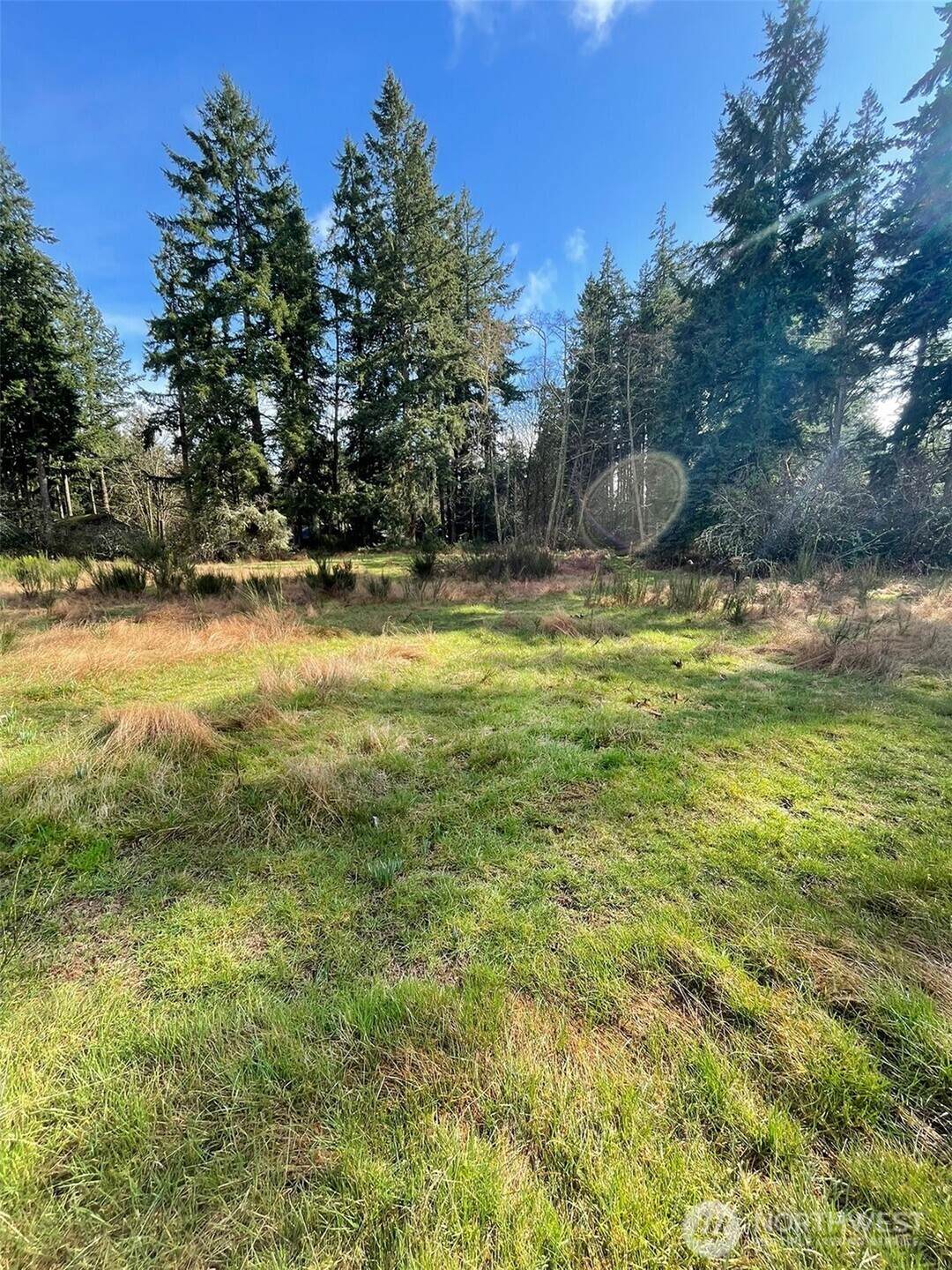 9221 Bank Road - Photo 1