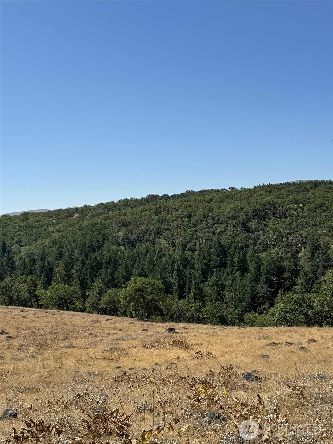 0 Parcel #03140400000200 - Photo 1