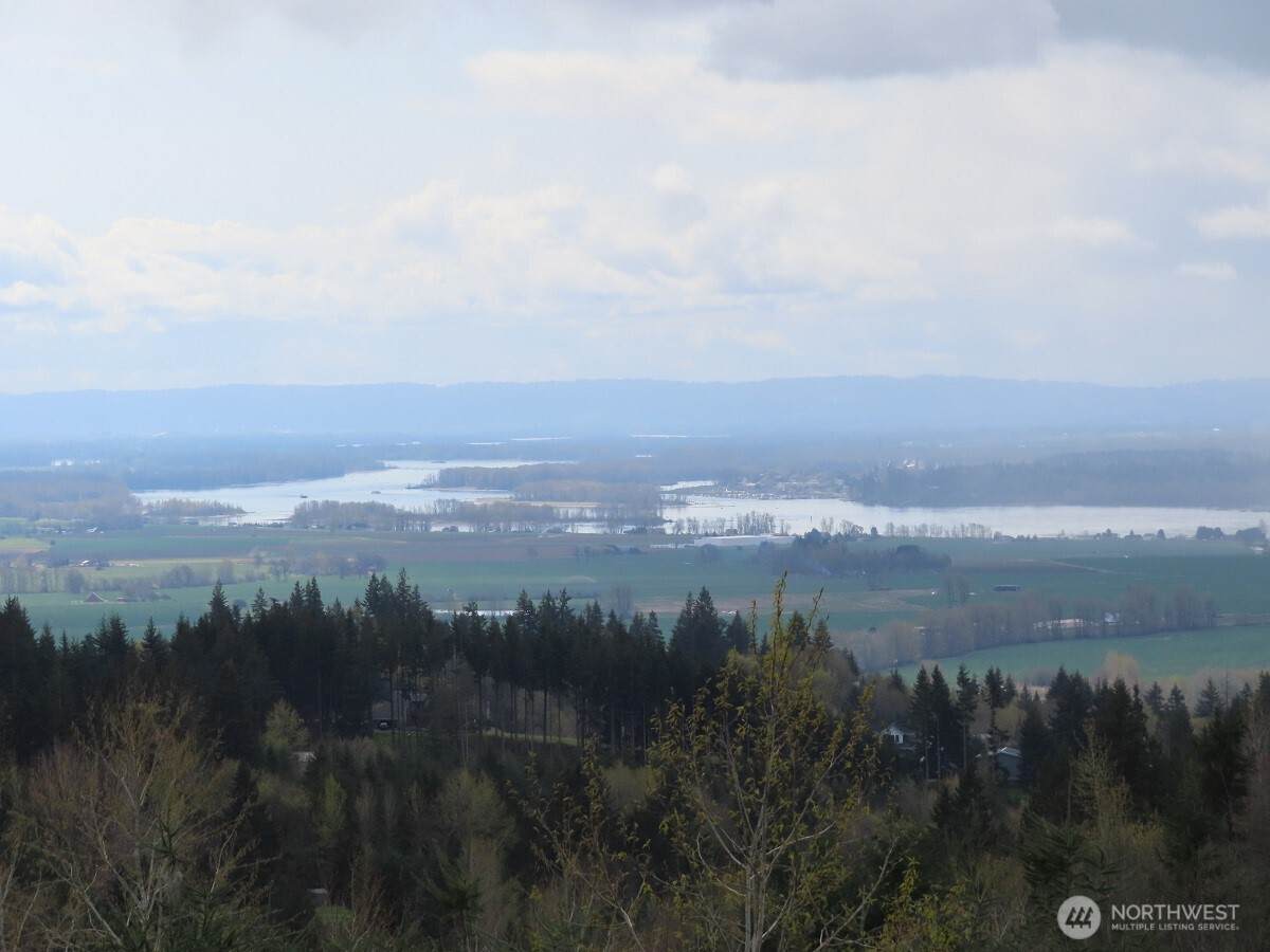 903 Confer Road - Photo 1