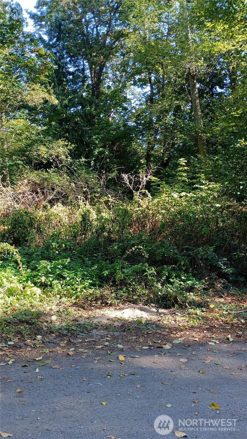 97 J Saratoga - Photo 1