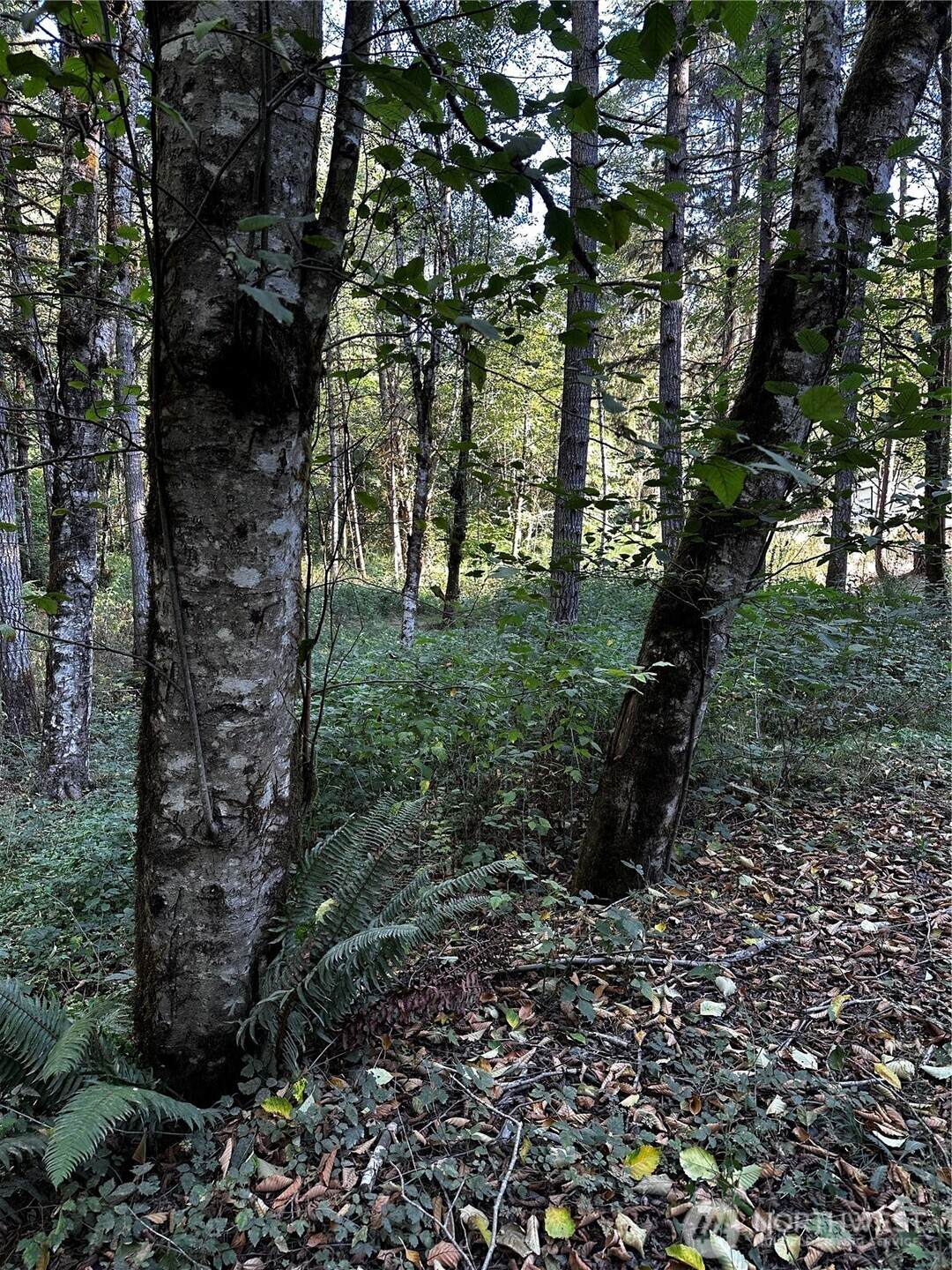 14413 109th Street - Photo 1