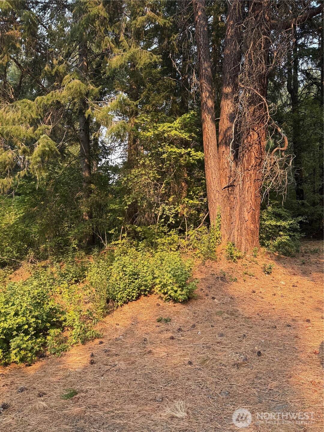 0 Little Chumstick Creek Rd - Photo 1