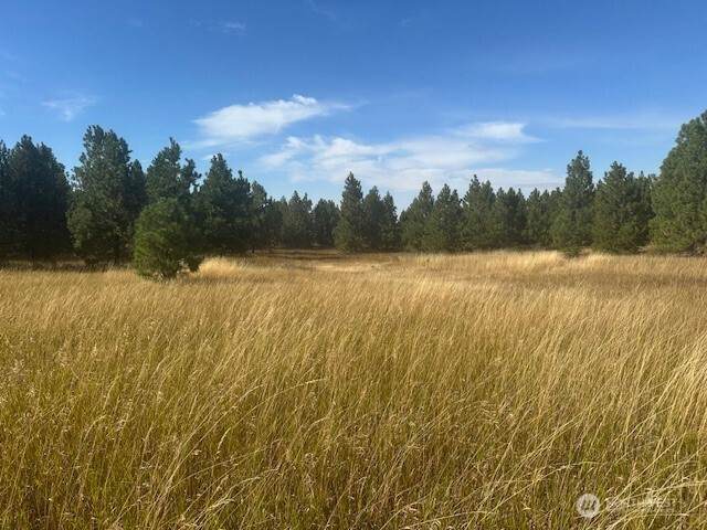 0 Malcolm Grade Road - Photo 1