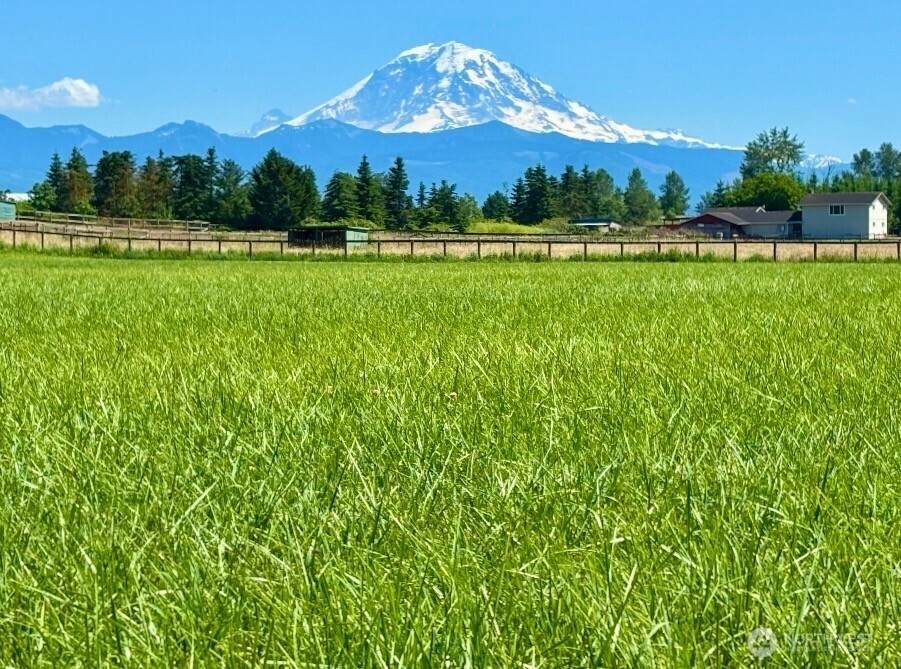 42711 196th Avenue - Photo 1